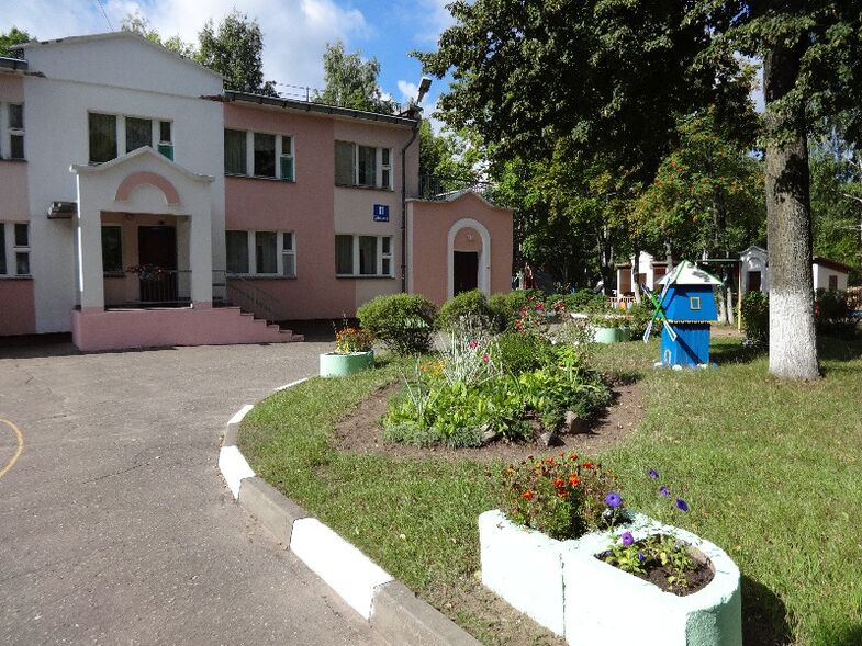 Zielony luzhaika w domu